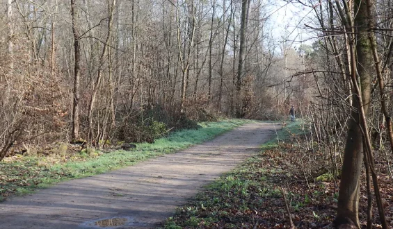 Anklage wegen Mordes an Jugendlicher