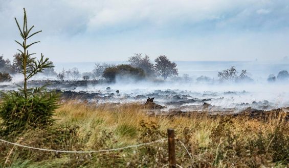 Brand im Hohen Venn in Belgien: Lage weiter kritisch
