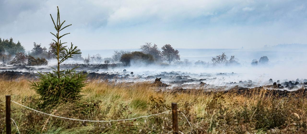Brand im Hohen Venn in Belgien: Lage weiter kritisch