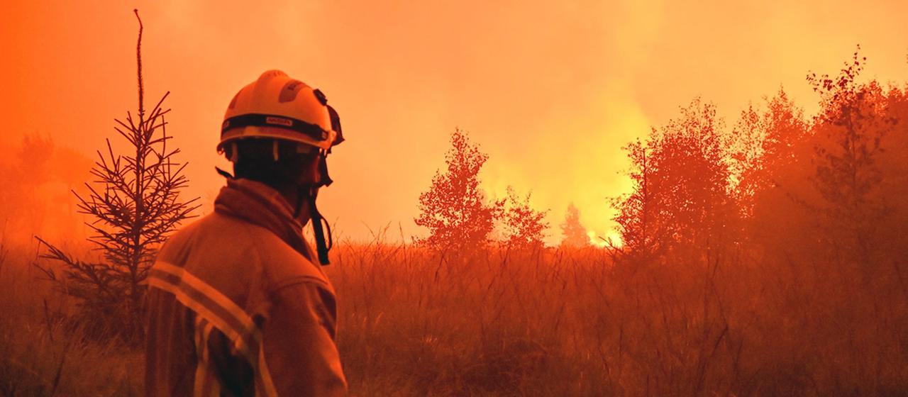 Die wachsende Waldbrandgefahr in Europa durch den Klimawandel