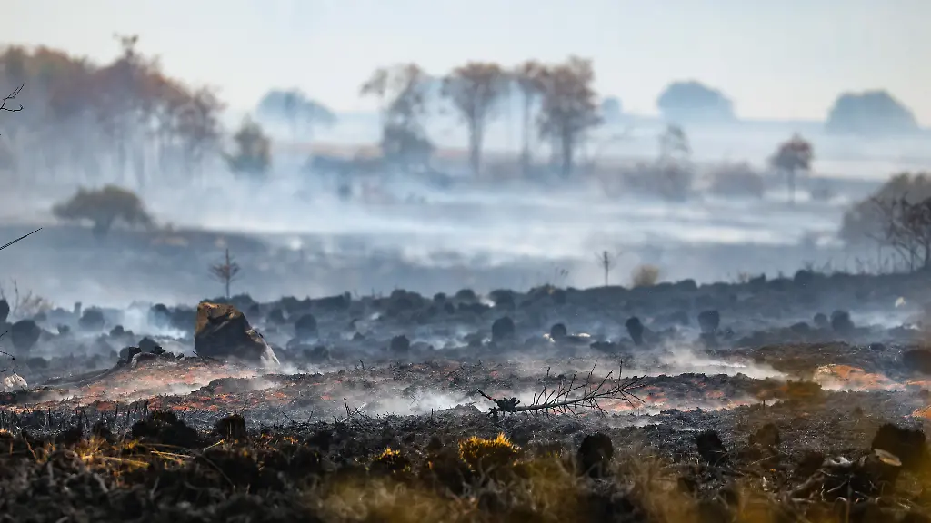 Menschliche Ursachen für Waldbrände