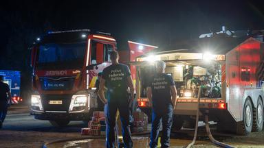 Waldbrände an der deutsch-belgischen Grenze: Aktuelle Entwicklungen