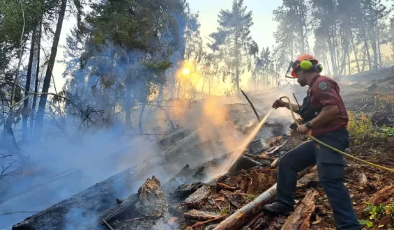Kanada kämpft gegen Waldbrände in British Columbia