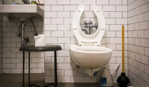 Mysterious Diarrhea Outbreak in the USA: Two Fatalities in Michigan