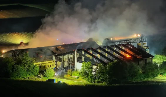 Brandkatastrophe in Bayern: Über 1200 Schweine verenden