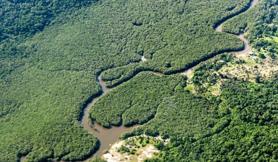 Brasilien reduziert Entwaldung im Amazonas auf Tiefstand