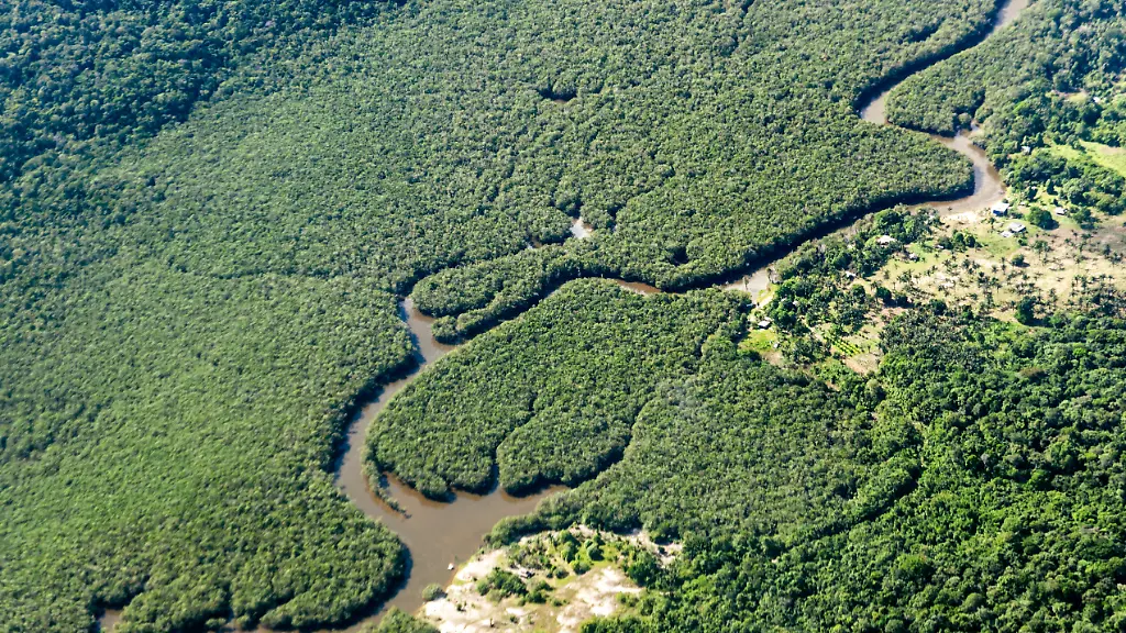 Brasilien reduziert Entwaldung im Amazonas auf Tiefstand