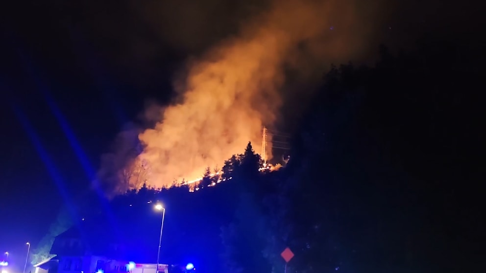 Schwarzwaldbewohner Evakuiert Wegen Waldbrand