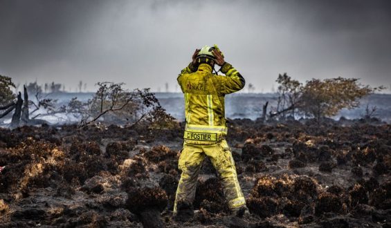 Waldbrand im Hohen Venn: Einsatzkräfte kämpfen gegen das Feuer