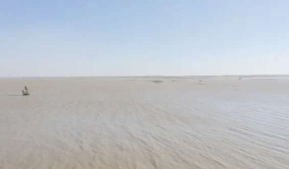 Migration in den Iran: Tragödie in der Wüste des Todes
