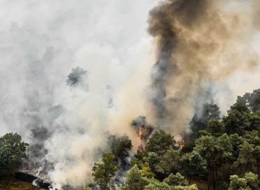 Waldbrand an niederländisch-deutscher Grenze wächst rasant