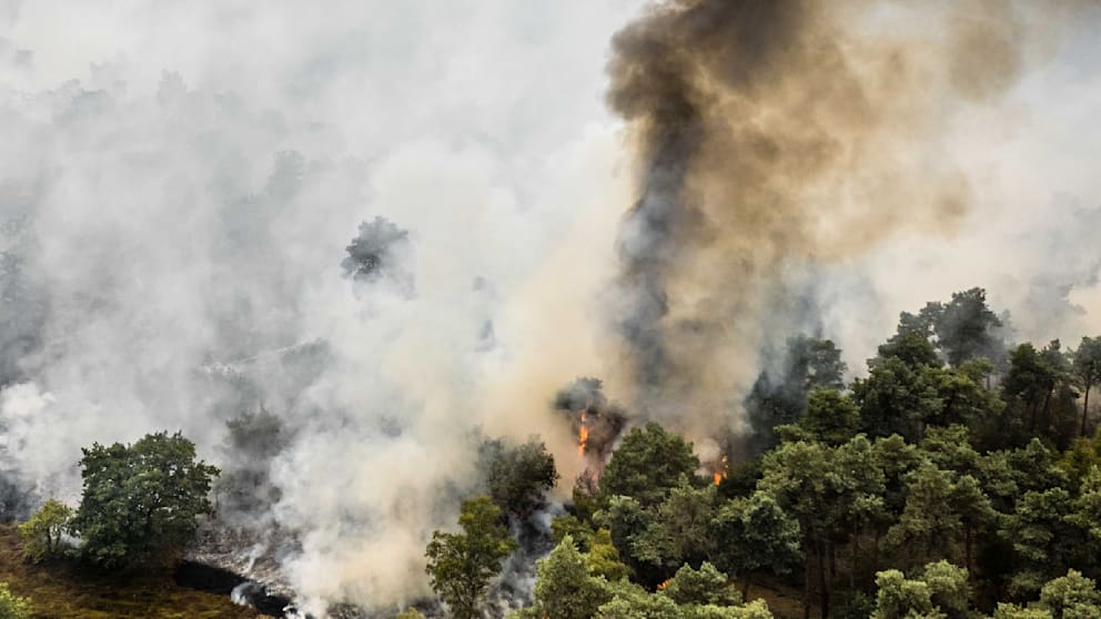 Waldbrand an niederländisch-deutscher Grenze wächst rasant