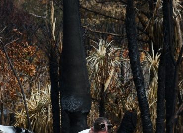 Rückkehr ins Nichts: Waldbrände in Südeuropa