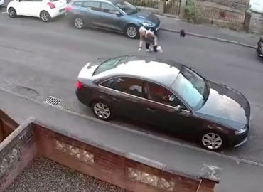Unerwarteter Angriff einer Krähe auf Spaziergängerin