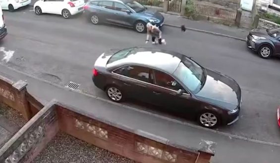 Unerwarteter Angriff einer Krähe auf Spaziergängerin