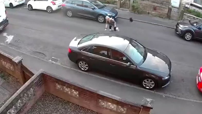 Unerwarteter Angriff einer Krähe auf Spaziergängerin
