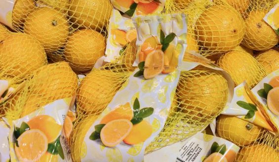 Neue EU-Verpackungsregeln: Weniger Müll, mehr Recycling