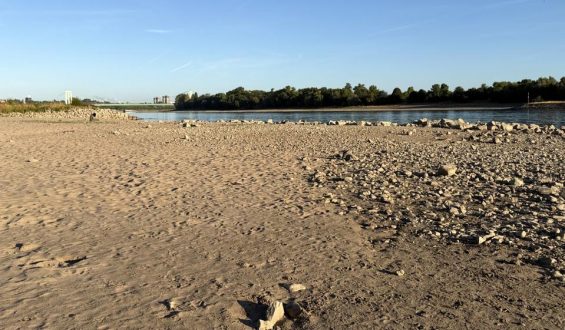 Niedriger Rhein-Pegel: Auswirkungen der Dürre auf Verbraucher