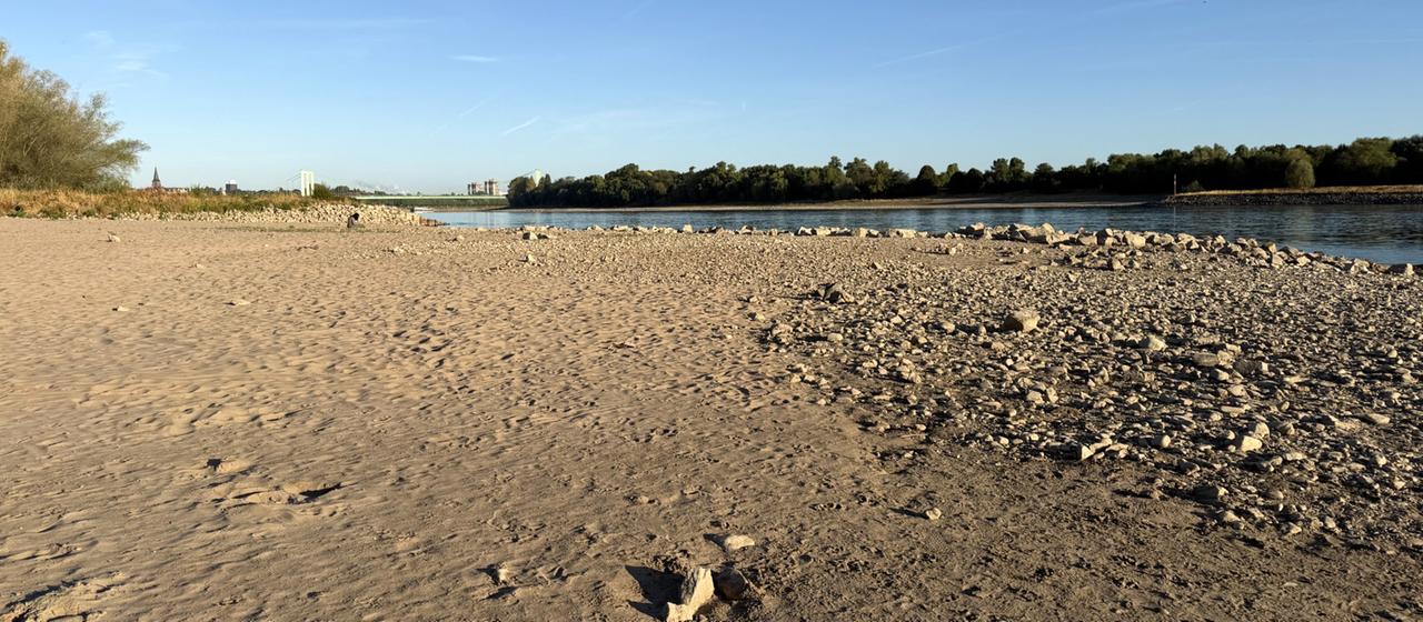 Niedriger Rhein-Pegel: Auswirkungen der Dürre auf Verbraucher