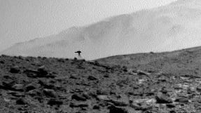 Wirbel auf dem Mars: Was zeigt das NASA-Bild?