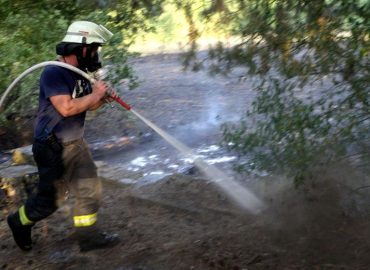 Klimawandel in Deutschland: Auswirkungen und Reaktionen