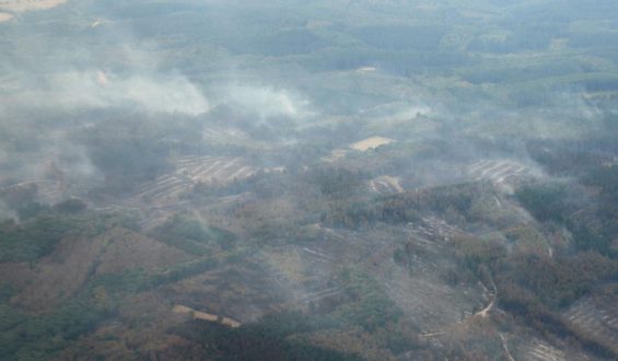Bewohner kehren nach Waldbrand im Hürtgenwald zurück
