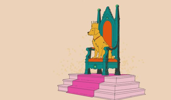 Die unerschütterliche Liebe zum Hund
