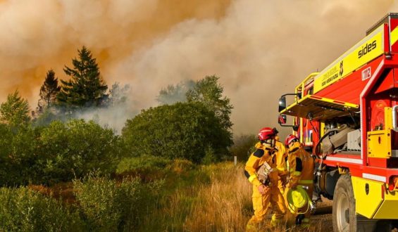 Gefahr der Zombiefeuer im Hohen Venn