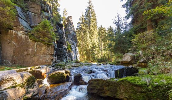 Urlaubsspaß im Erzgebirge und Harz: Entdeckungen und Erlebnisse