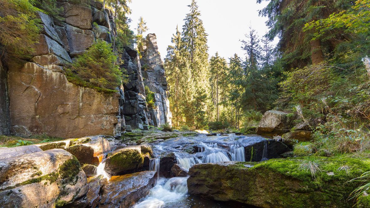 Urlaubsspaß im Erzgebirge und Harz: Entdeckungen und Erlebnisse