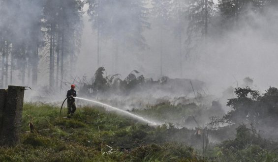 Einsatzkräfte kämpfen gegen Waldbrand im Hohen Venn in Belgien