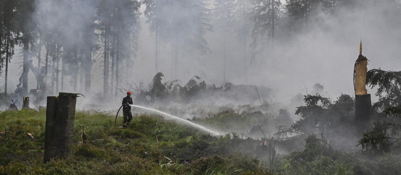Einsatzkräfte kämpfen gegen Waldbrand im Hohen Venn in Belgien