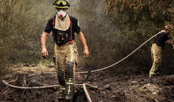 Waldbrand an der deutsch-belgischen Grenze: Einsatzkräfte im Dauereinsatz