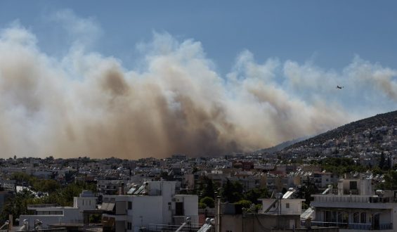 Waldbrände in Südeuropa: Herausforderungen und aktuelle Lage