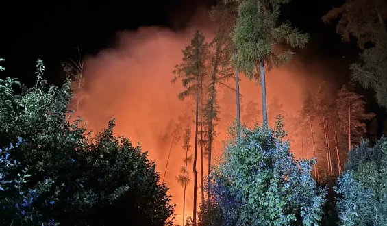 Feuerwehr kämpft gegen großen Waldbrand im Vogtland