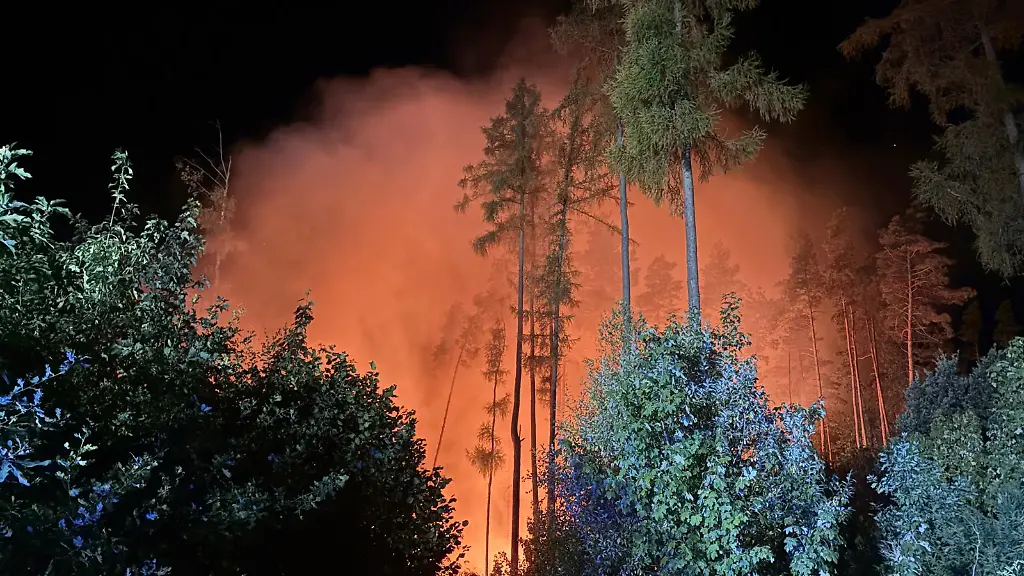 Feuerwehr kämpft gegen großen Waldbrand im Vogtland