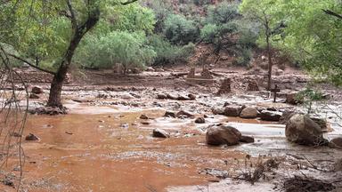 Sturzflut im Grand Canyon führt zu Evakuierungen