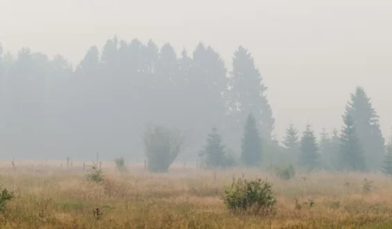 Großer Waldbrand in Belgien: Evakuierungen in Monschau vorbereitet
