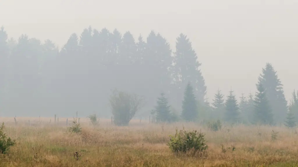 Großer Waldbrand in Belgien: Evakuierungen in Monschau vorbereitet