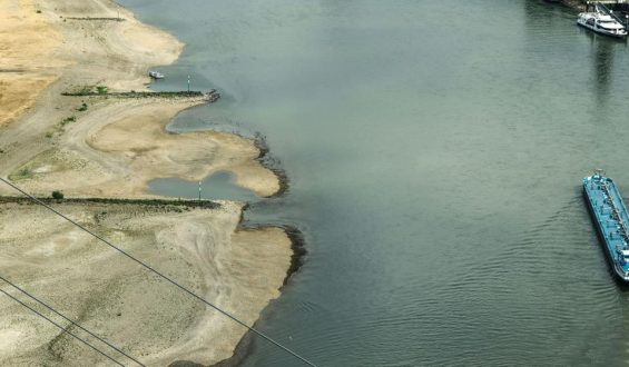 Deutschlands Flüsse auf Rekordtief – Wirtschaft und Schifffahrt in Not