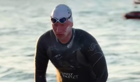Pole schwimmt 160 km durch die Ostsee