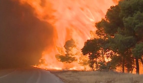 Griechenland bekämpft weiterhin Waldbrände