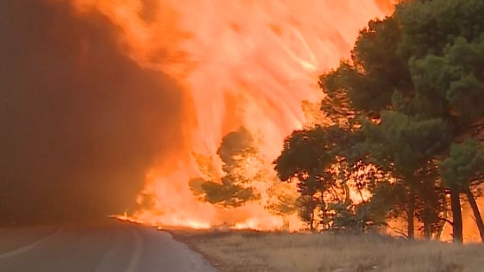 Griechenland bekämpft weiterhin Waldbrände