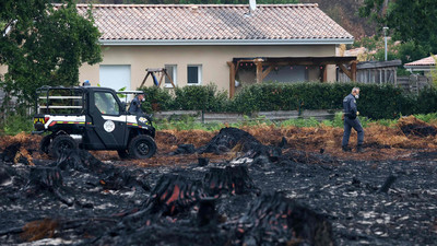Waldbrände und ihre aktuelle Entwicklung