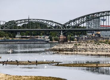 Rhein mit historisch niedrigen Wasserständen