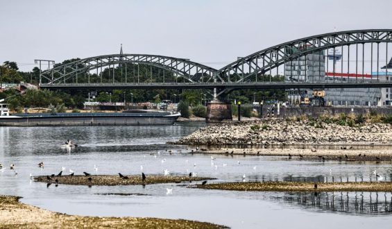 Rhein mit historisch niedrigen Wasserständen
