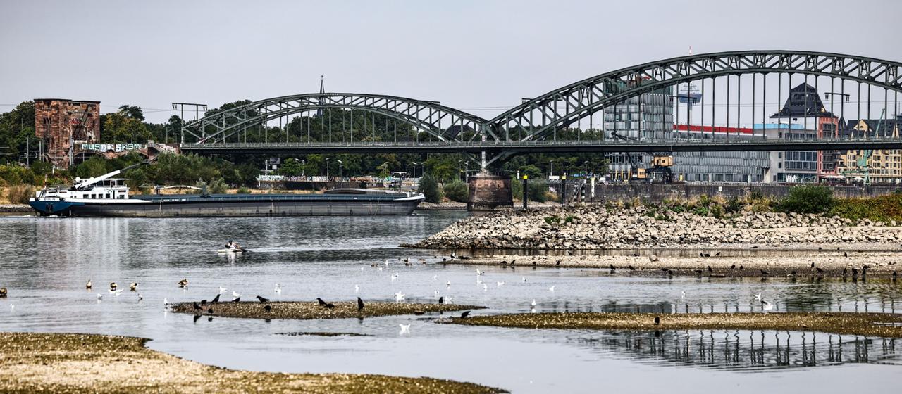 Rhein mit historisch niedrigen Wasserständen