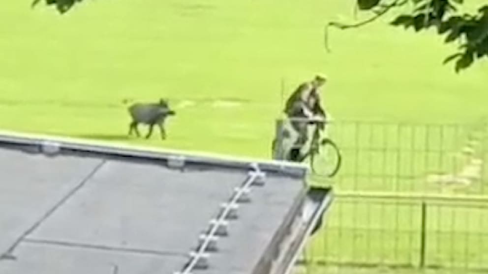 Patson Daka beeindruckt beim HSV