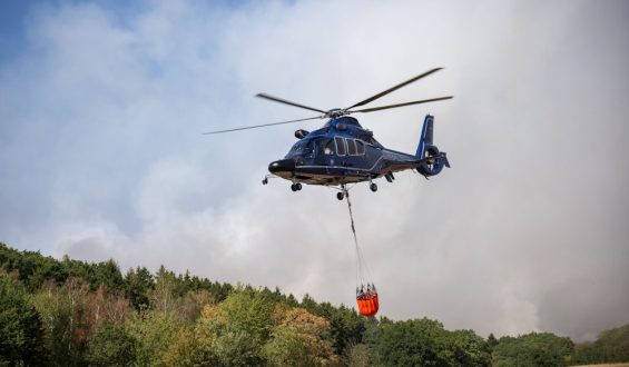 Waldbrände in Hürtgenwald und Monschau: Herausforderungen und Maßnahmen