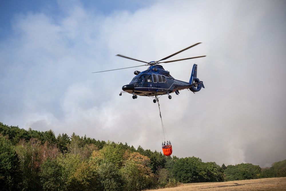 Waldbrände in Hürtgenwald und Monschau: Herausforderungen und Maßnahmen